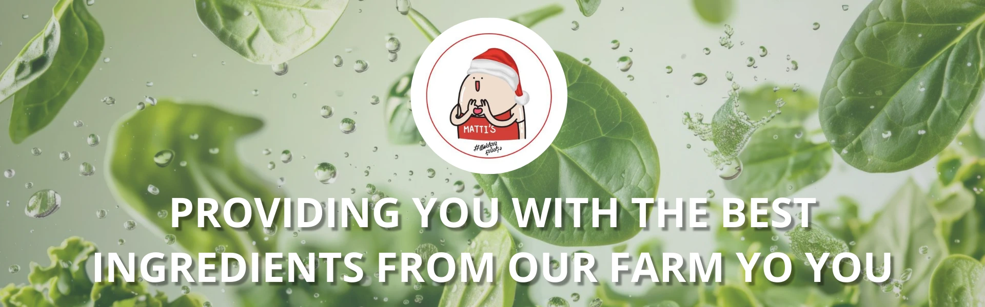 PROVIDING YOU WITH THE BEST INGREDIENTS FROM OUR FARM YO YOU-1